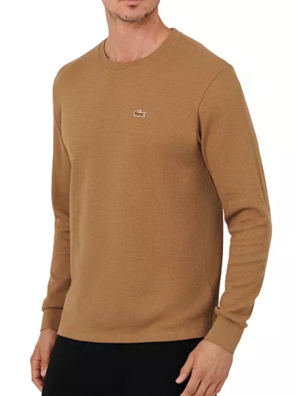Lacoste Men’s Crewneck Sweater in Camel Brown
